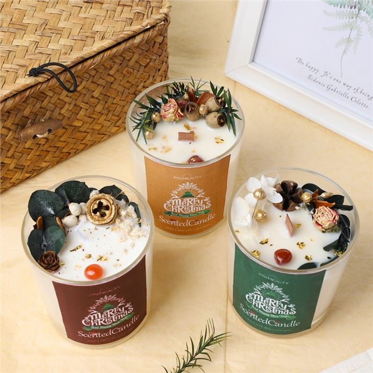 Christmas Scented Soy Candles